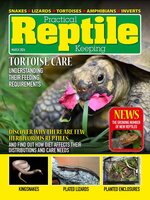 Practical Reptile Keeping